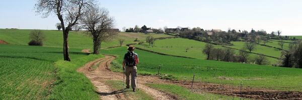 Le Chemin, Anthien