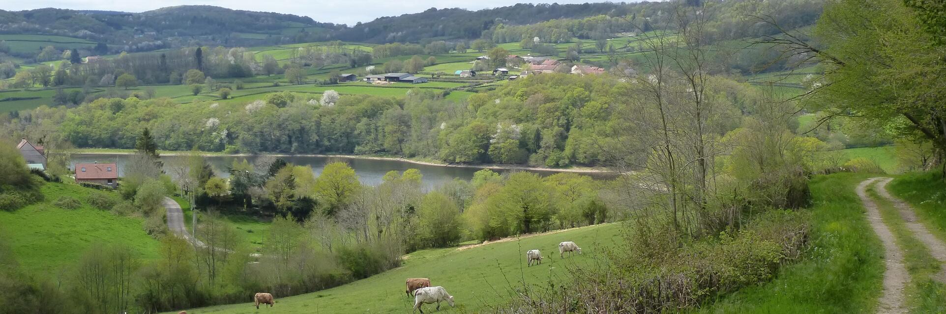 Tour de Vézelay