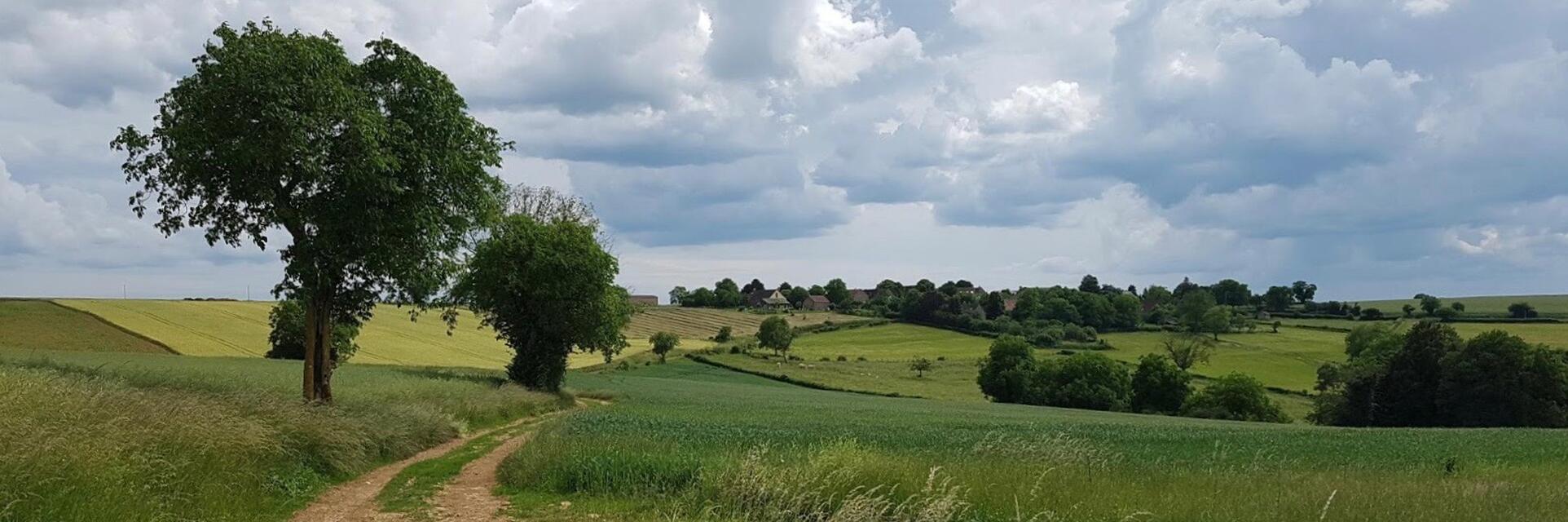 Le Chemin, Anthien